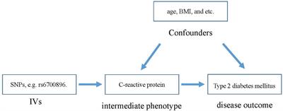 Exposing the Causal Effect of C-Reactive Protein on the Risk of Type 2 Diabetes Mellitus: A Mendelian Randomization Study
